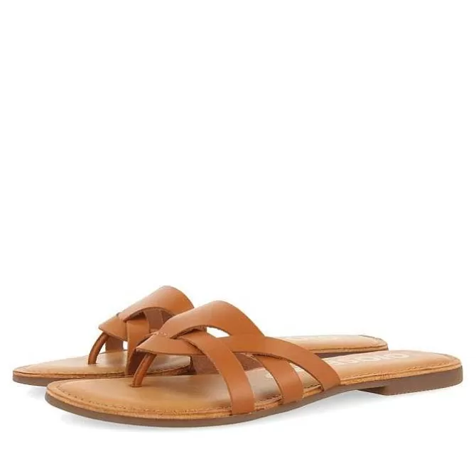Sandalias Planas<Gioseppo Sandalias De Piel Con Tirantes Para Mujer Cayuse