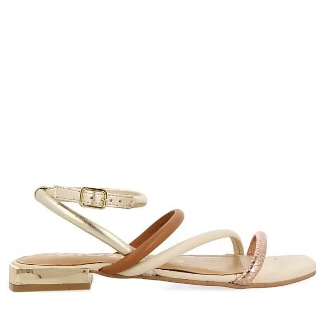 Sandalias Planas<Gioseppo Sandalias De Piel Multicolor Con Metalicos Para Mujer Latah
